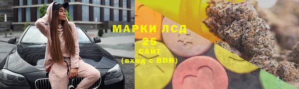 ГАЛЛЮЦИНОГЕННЫЕ ГРИБЫ Баксан