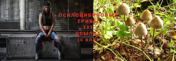 стафф Арсеньев