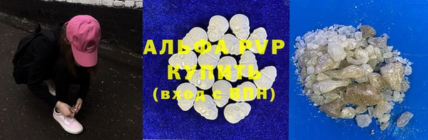 стафф Арсеньев