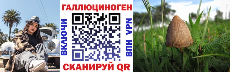 Галлюциногенные грибы Psilocybine cubensis  Купить где  Дагестанские Огни 