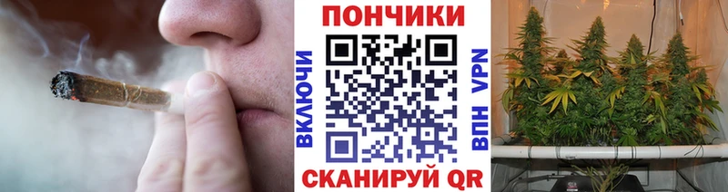 Шишки марихуана конопля Купить Дагестанские Огни